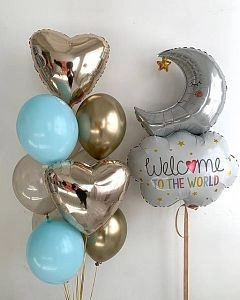 Шары на выписку «Welcome to the world»