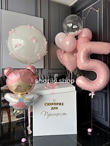 Коробка с шарами «Принцесса и фея»